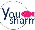 you sharm 317