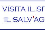 AIAV – Banner Il Salvagente
