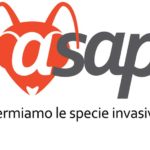 AIAV ASAP