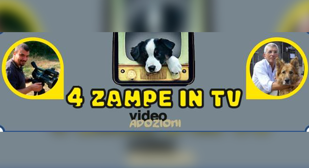AIAV 4 zampe in TV