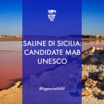 AIAV—Immagine-articolo-4_3-Saline-di-Sicilia