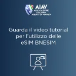 AIAV—Banner-video-tutorial-BNESIM