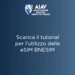 AIAV—Scarica-il-tutorial-BNESIM