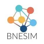 Logo BNESIM 1×1